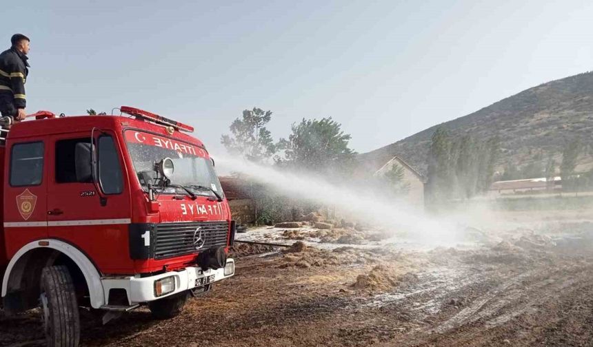 Isparta’da çıkan yangında 80 dönüm tarım arazisi küle döndü