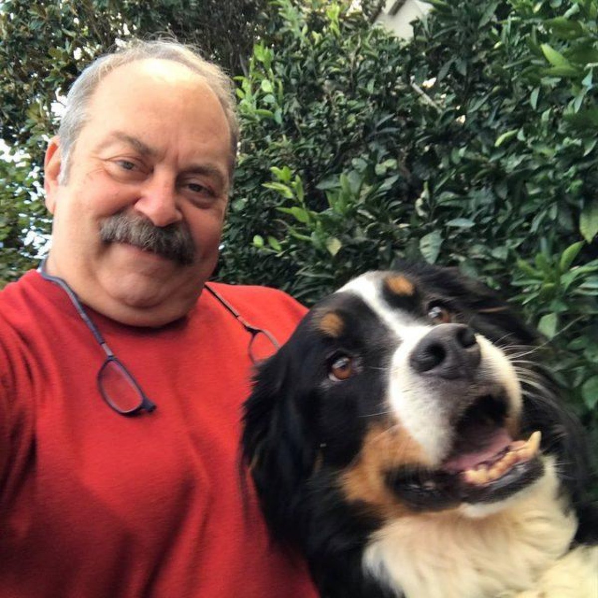 Ali Düşenkalkar 1