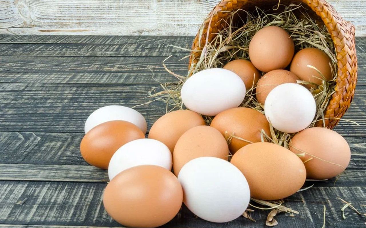 Günde 1 adet yumurta yerseniz neler olur?
