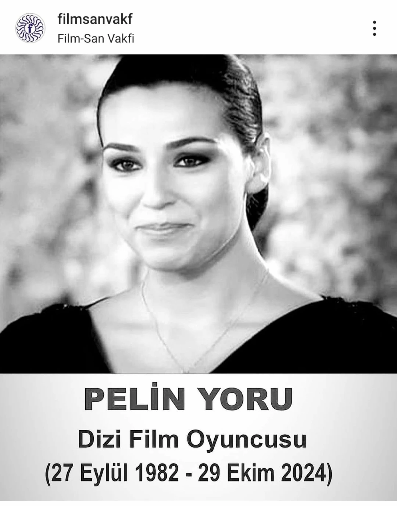 Filmsan Pelin Yoru